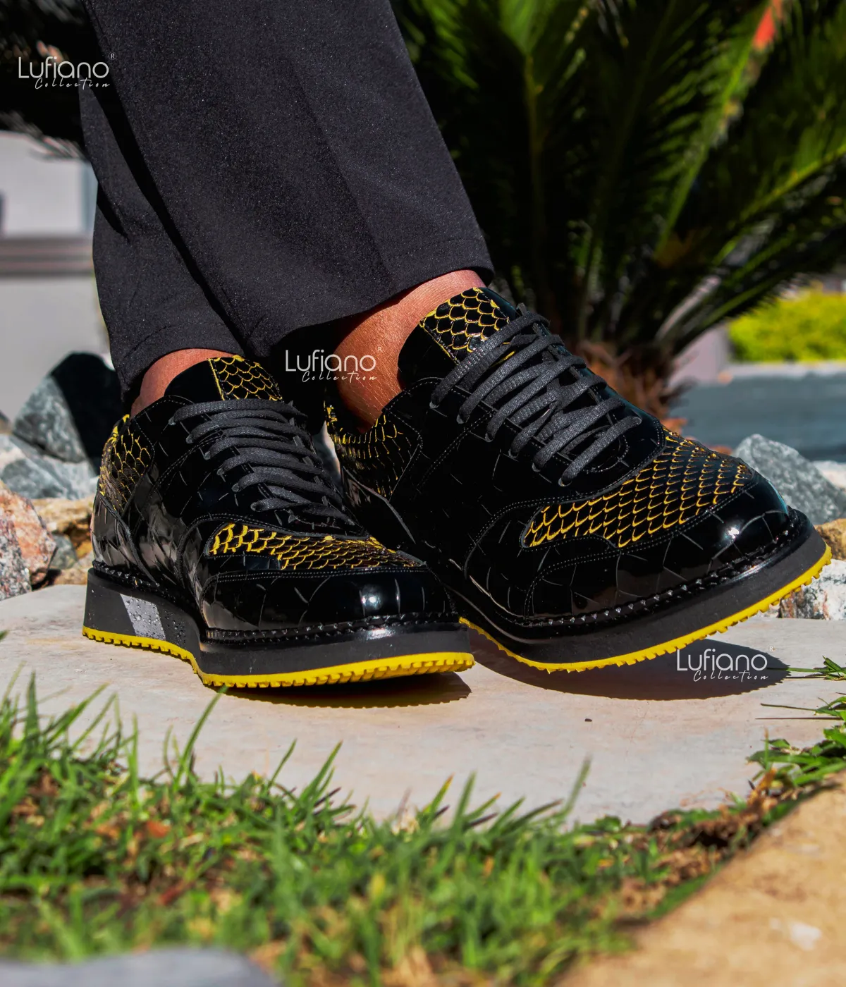 221 Lufiano Lace up : Black-Yellow