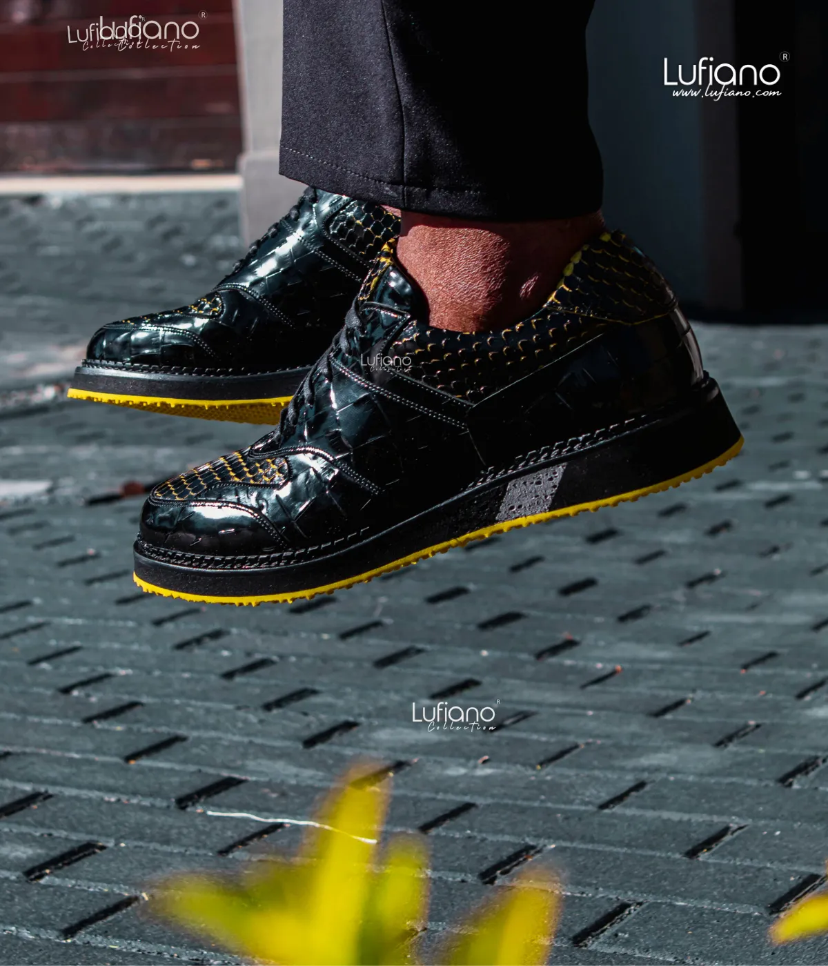 221 Lufiano Lace up : Black-Yellow