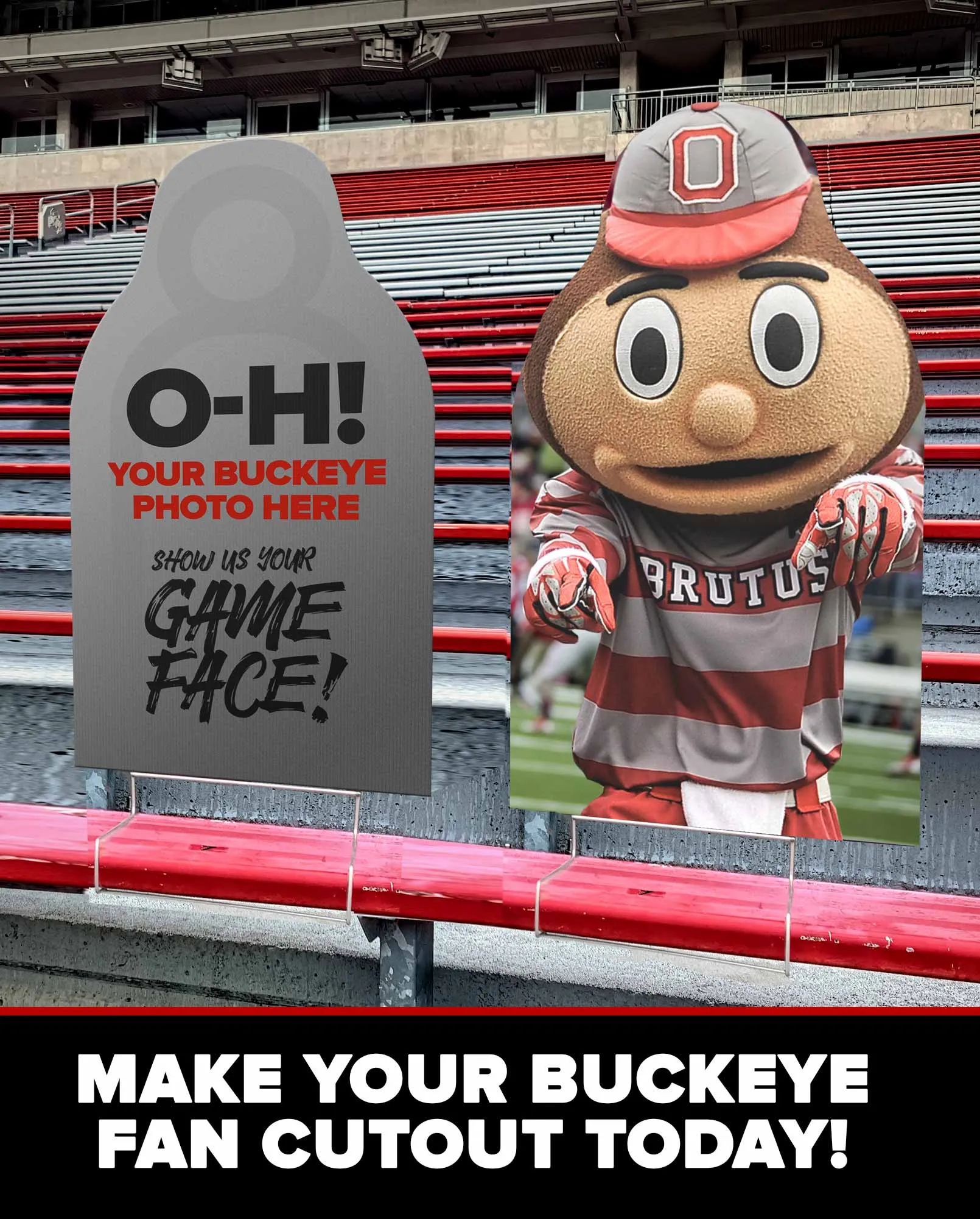 Buckeye FanCutout