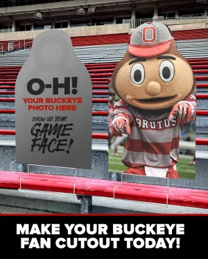 Buckeye FanCutout